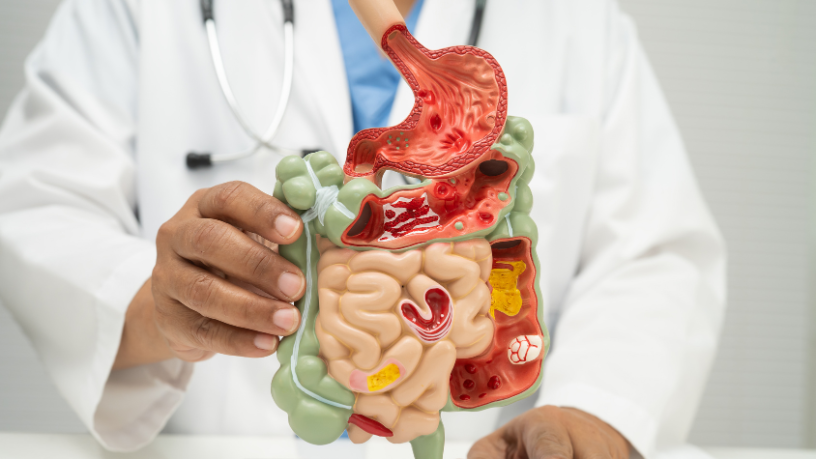 Alexandre Costa Pedrosa