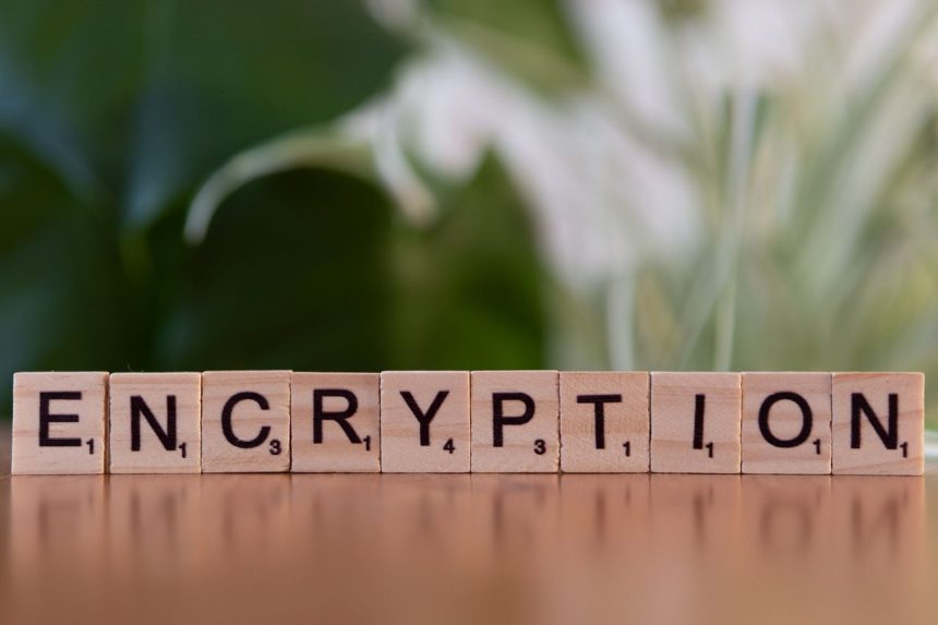 Blocos de madeira formam a palavra “encryption”, em referência à criptografia e à proteção de dados digitais.